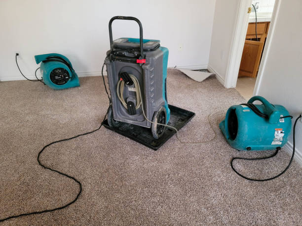 Best Sewage cleanup and water damage restoration  in South Uniontown, PA