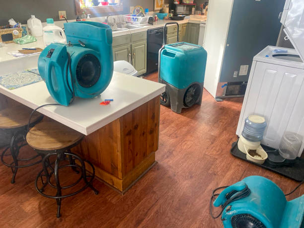 Best Water damage contractors near me  in South Uniontown, PA