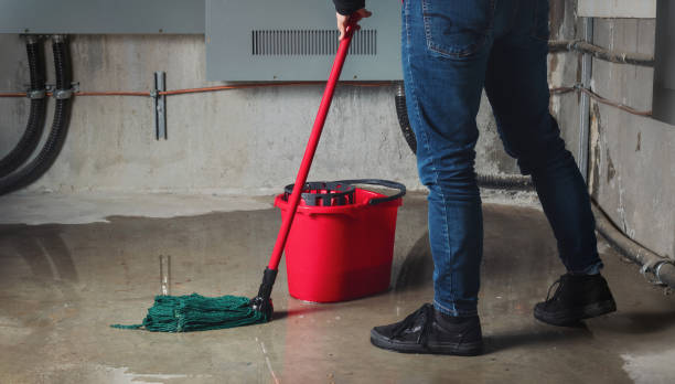 Best Fire Damage Restoration  in South Uniontown, PA
