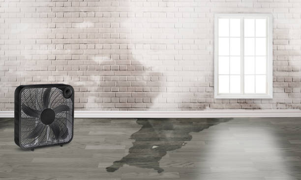 24/7 water damage repair in South Uniontown, PA