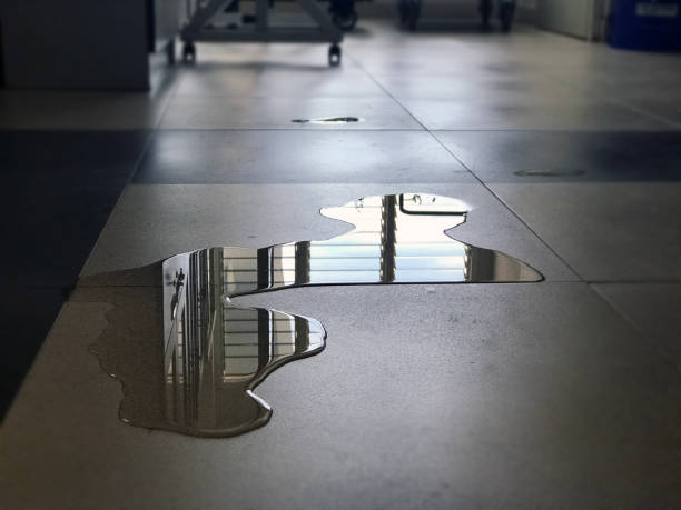 Best Water damage restoration near me  in South Uniontown, PA