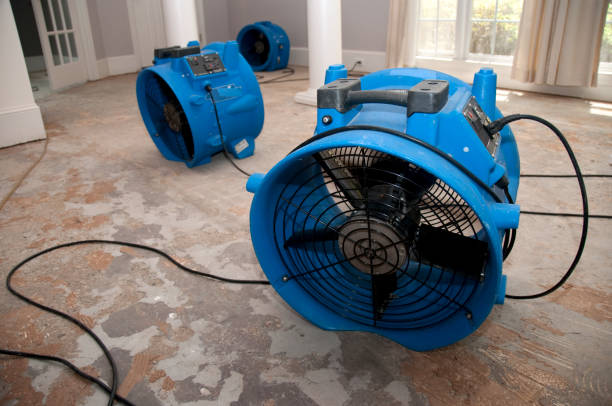 Best Commercial water damage restoration  in South Uniontown, PA