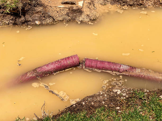 Best Carpet water damage restoration  in South Uniontown, PA